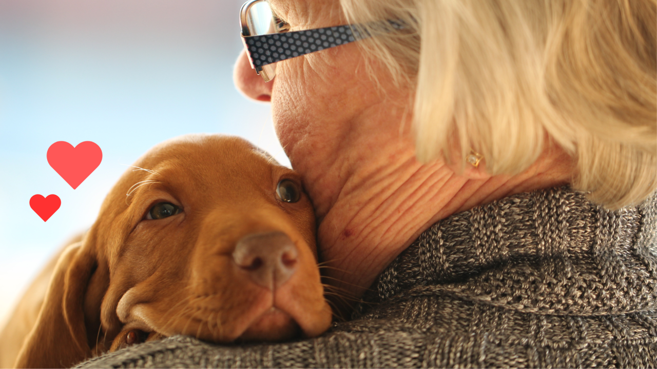 Puppy cuddling with an owner with support from a new pet starter guide from Evergreen Pet Clinic in San Pablo, CA