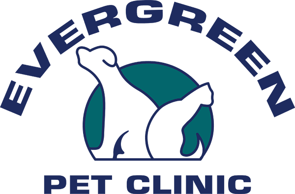 Evergreen Pet Clinic