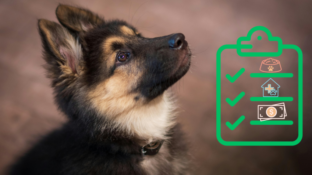 German Shepherd puppy beside a new pet care checklist from Evergreen Pet Clinic in San Pablo, CA