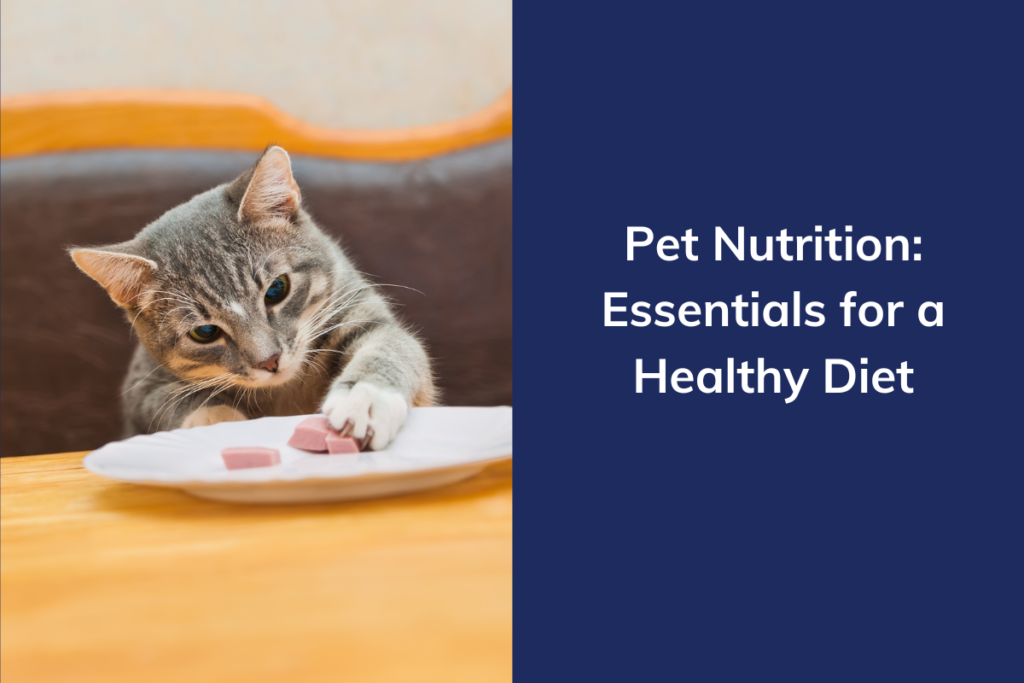 A cat pawing at small pieces of food on a white plate next to text reading "Pet Nutrition: Essentials for a Healthy Diet".