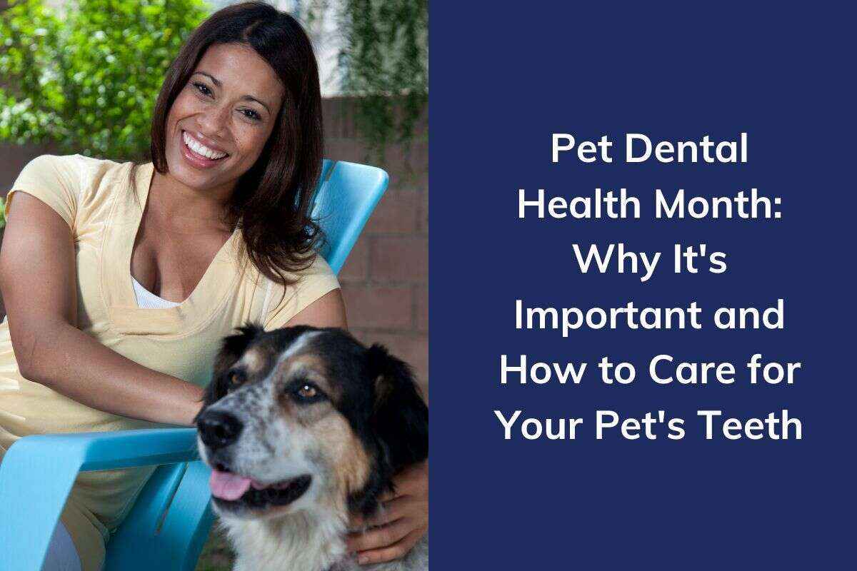 Woman smiling with a dog beside her; text about pet dental health on the side.